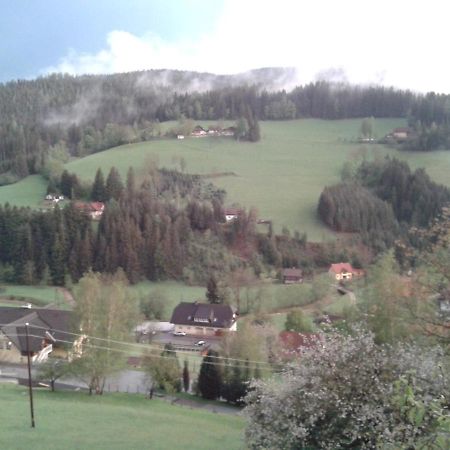Apartmán Haus Koenigshofer Sankt Kathrein am Hauenstein Exteriér fotografie