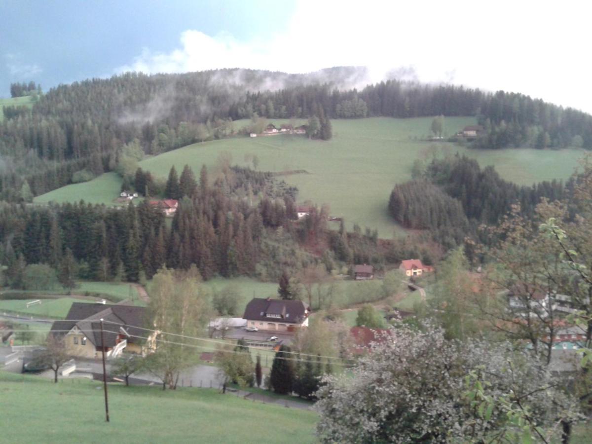 Apartmán Haus Koenigshofer Sankt Kathrein am Hauenstein Exteriér fotografie