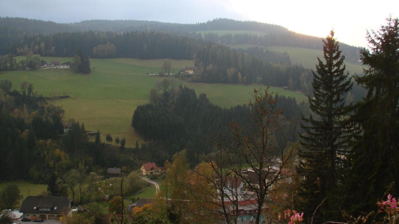 Apartmán Haus Koenigshofer Sankt Kathrein am Hauenstein Exteriér fotografie
